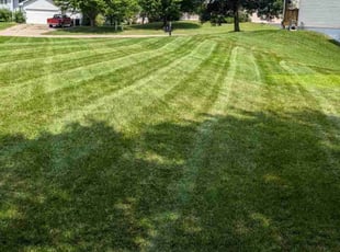 Chanai W.'s Lawn Mowing Service service result