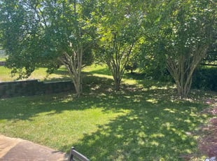 Gail G.'s Grass Cutting service result