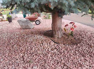 Cleanups by Chris Polacheck for Carole G. in Colorado Springs, CO