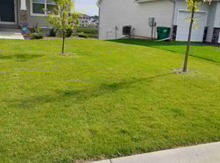 Charles R.'s Lawn Service service result