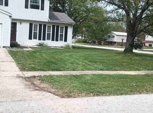 Sue H.'s Lawn Service service result
