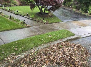 Leaf Removal by Ali Alfatlawi for Bernardo B. in Eatontown, NJ