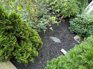 Weeding by Edgar Elmore for Joseph K. in Washington, DC