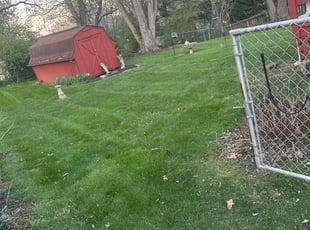 Ram S.'s Lawn Service service result