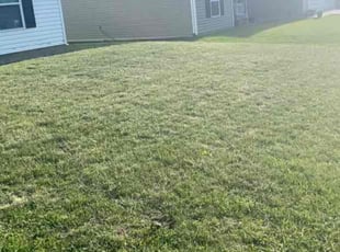David S.'s Lawn Service service result