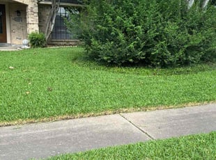 Mitcheli D.'s Lawn Mowing service result