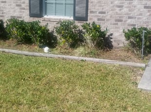 Bush Trimming by Lenny Watson for Cassandra P. in Jacksonville, FL