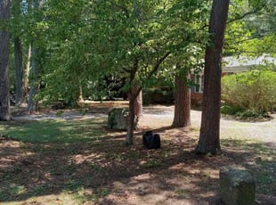 Leaf Removal by John Snead for Lucy A. in Mauldin, SC