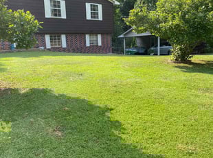 Thomas B.'s Lawn Service service result