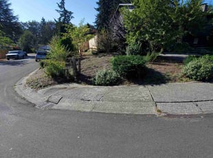 Weeding by Coben Varland for Sai C. in Kirkland, WA