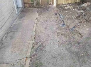 Leaf Removal by Donovan Perry for Sable C. in Katy, TX