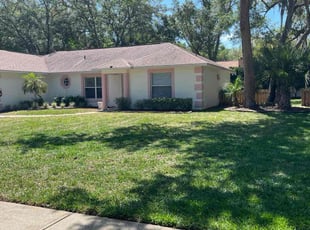 Patricia B.'s Lawn Mowing service result