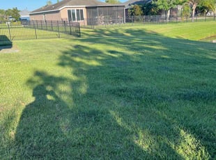 Darlene S.'s Lawn Care service result