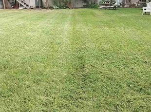 Nakia P.'s Lawn Service service result