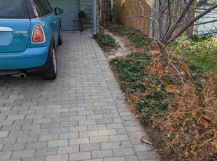 Leaf Removal by Johnny Hines for Roberta G. in Aurora, CO