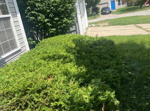Weeding by James Corbin for Scott S. in Indianapolis, IN