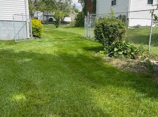 James K.'s Lawn Mowing Service service result