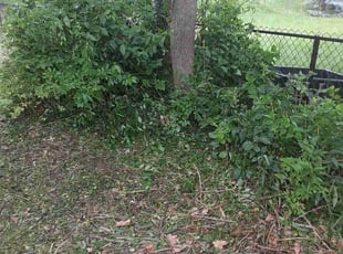 Cleanups by Caleb Patton for Nilda F. in Cincinnati, OH