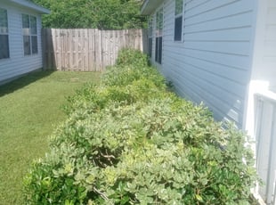 Bush Trimming by Kevin Brunicarde for Mr. Jerome R. in Pensacola, FL