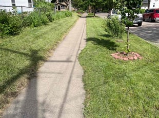 Elaine t.'s Lawn Mowing Service service result