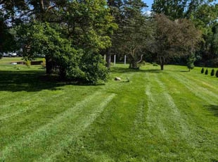 Debbie T.'s Lawn Mowing service result
