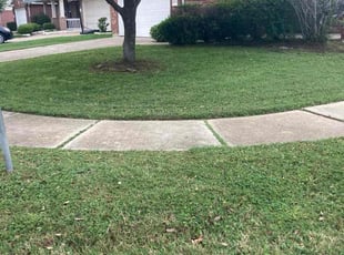 Reggie -.'s Lawn Maintenance service result