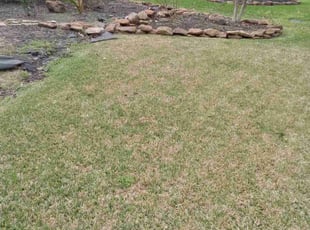 Weeding by Daiby Alvarez for Jacquelyn W. in Humble, TX