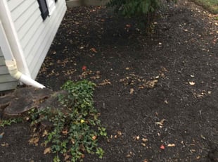 Weeding by Lamont Howard for Sheri B. in Columbus, OH