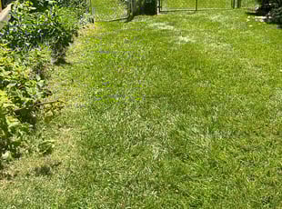 Frederick M.'s Lawn Care service result