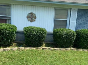 Bush Trimming by Jose Tovar for Judy R. in Haltom City, TX