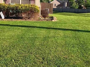 Sanford C.'s Lawn Care service result