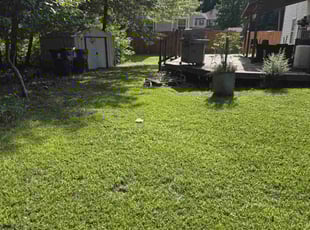 Charles L.'s Grass Cutting service result