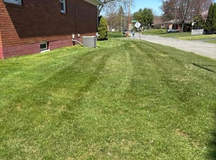 Mercedes S.'s Lawn Maintenance service result
