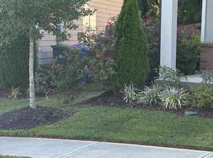 Denise A.'s Lawn Mowing Service service result