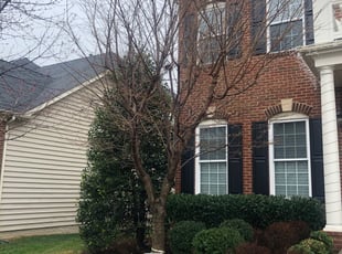 Leaf Removal by Hevert Pacheco for Eugene B. in Chantilly, VA
