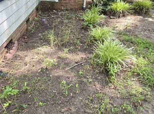 Leaf Removal by Green Juniper for Bryant H. in Knightdale, NC