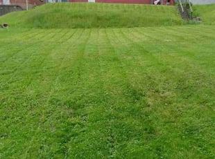 Dean R.'s Lawn Mowing Service service result