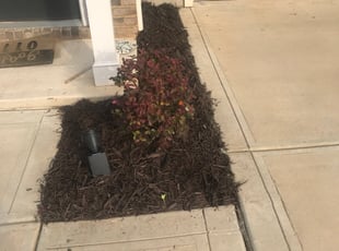 Mulching by Michael Gregory for Brandon M. in Mount Holly, NC