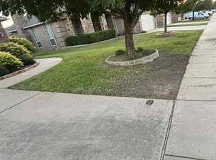 Huavai L.'s Lawn Maintenance service result