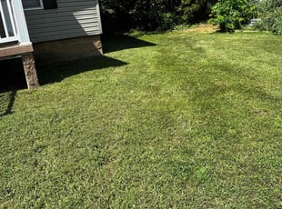 Ellie K.'s Lawn Service service result