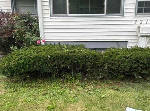 Bush Trimming by Chris Smith for Teia S. in Indianapolis, IN