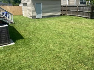 Kristin H.'s Yard Cutting service result
