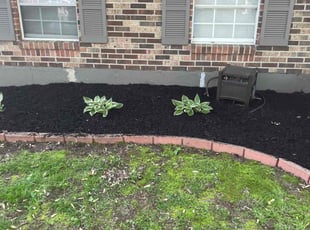Mulching by Gilberto GarcΓa for Kim L. in Indianapolis, IN