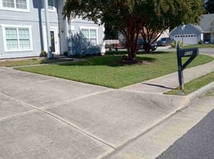 Daniel M.'s Lawn Mowing service result