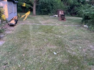 Cleanups by Rachel Lewis for Susan B. in Catonsville, MD