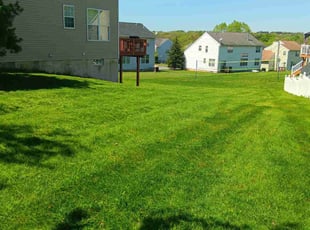 Tawana M.'s Yard Cutting service result