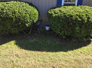 Cleanups by Andrew Croteau for Aileen B. in Southampton, MA