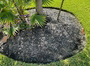 Weeding by Austin Mckenzie for Ron B. in Spring, TX