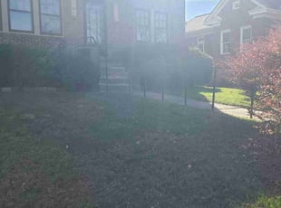 Leaf Removal by Joshua Bauer for Alex G. in Bellevue, PA