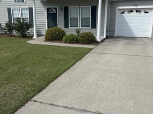 Alex R.'s Lawn Maintenance service result